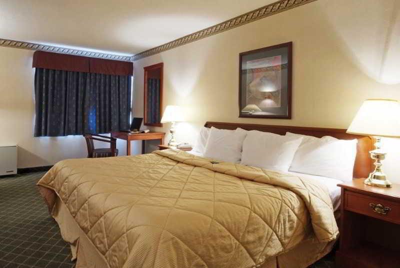 Comfort Inn Meadowvale Місісаґа Номер фото