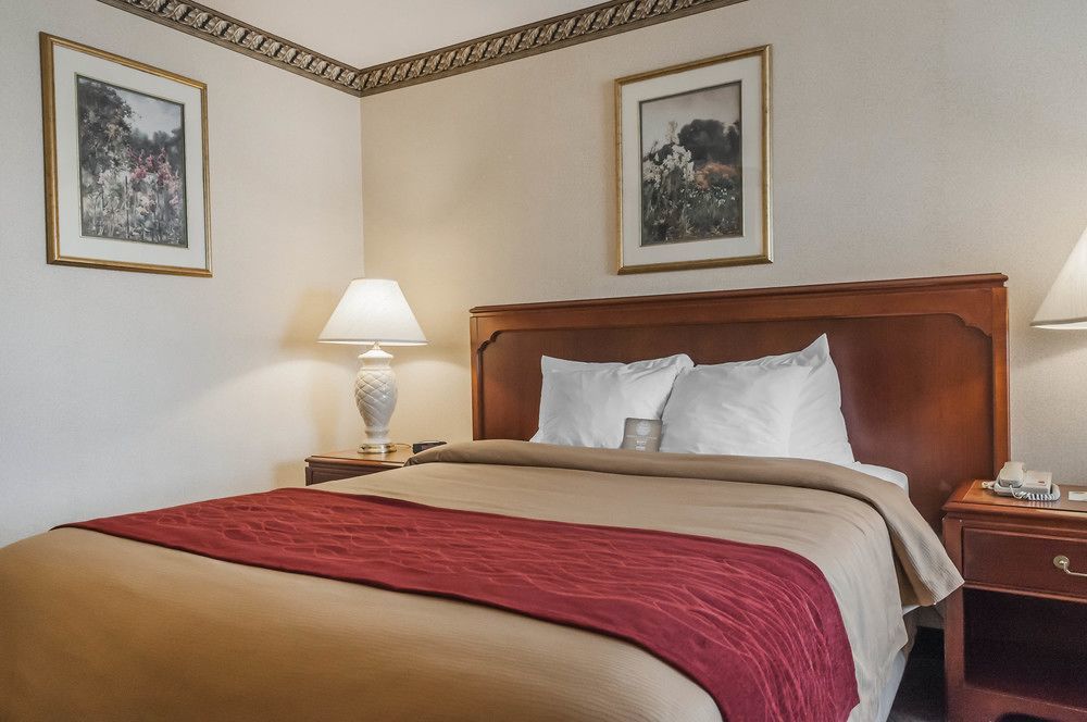 Comfort Inn Meadowvale Місісаґа Екстер'єр фото